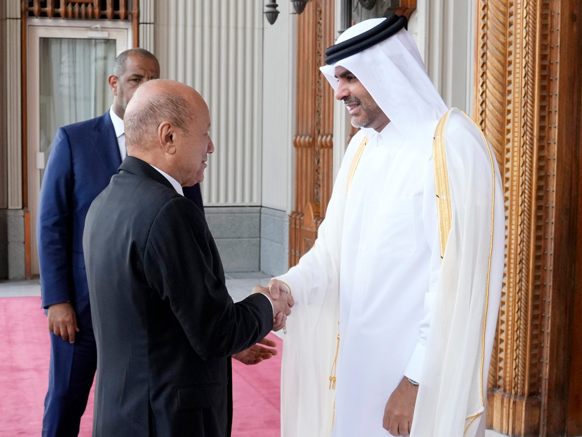 رئيس مجلس الوزراء يجتمع مع رئيس مجلس القيادة الرئاسي اليمني