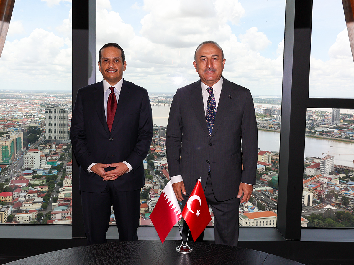 نائب رئيس مجلس الوزراء وزير الخارجية يجتمع مع وزير الخارجية التركي