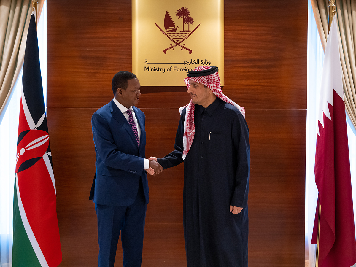 نائب رئيس مجلس الوزراء وزير الخارجية يجتمع مع وزير خارجية كينيا