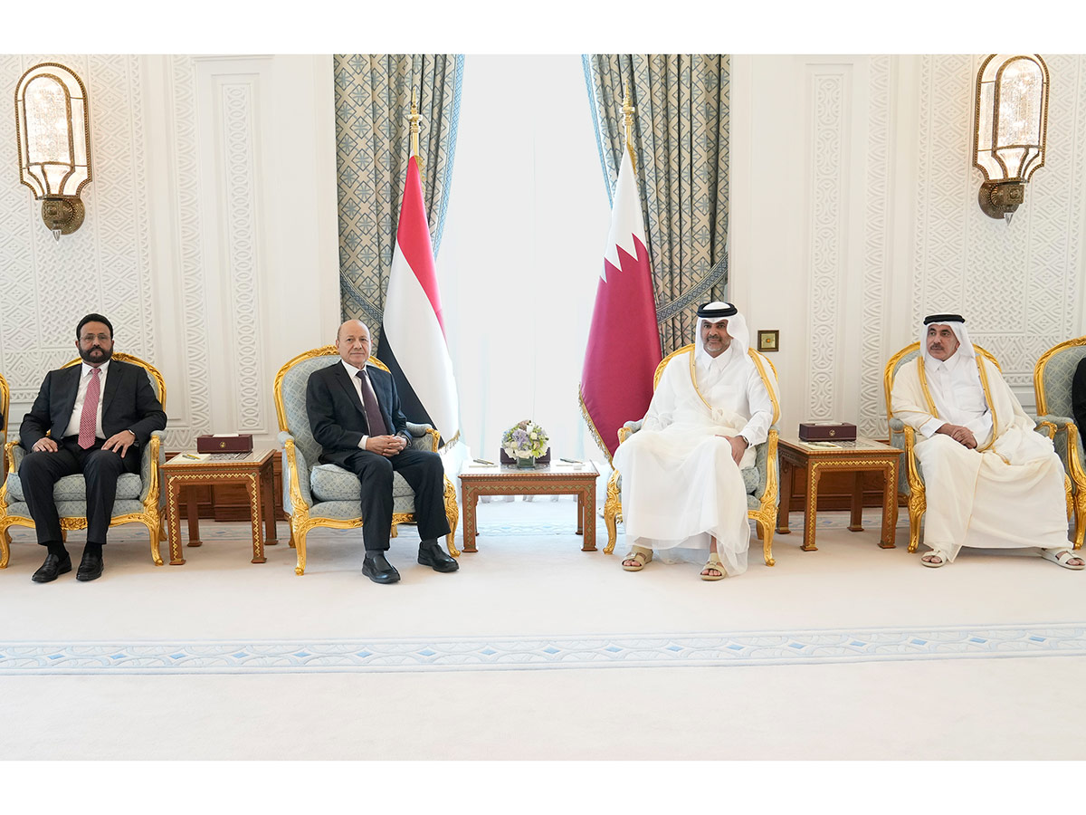 Prime Minister Meets Chairman of the Yemeni Presidential Leadership Council